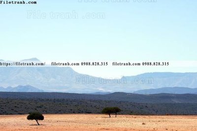 Chi tiết file ảnh nhung buc tranh phong canh ngang 710 sắc nét