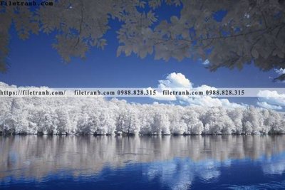 File gốc nhung buc tranh phong canh ngang 713 (ảnh rõ nét) để in