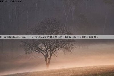 File gốc nhung buc tranh phong canh ngang 718 (in mica) cắt laser