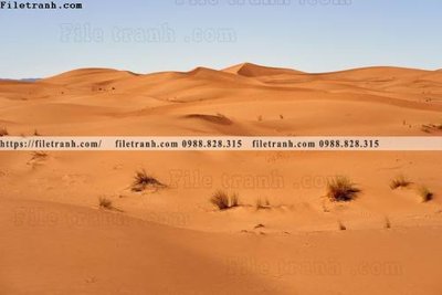 File tranh gốc nhung buc tranh phong canh ngang 723 (bản quyền) file PSD