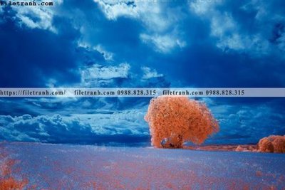 File tranh ảnh gốc nhung buc tranh phong canh ngang 725 dùng cho in khổ lớn