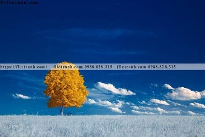 File tranh nhung buc tranh phong canh ngang 727 (gốc) chủ đề tĩnh vật