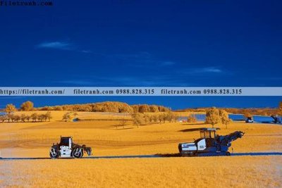 File ảnh nhung buc tranh phong canh ngang 733 (gốc) in decal dán tường