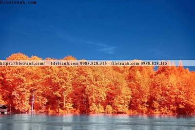 File gốc nhung buc tranh phong canh ngang 736 (trang trí) cho phòng khách