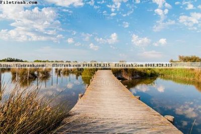 File tranh nhung buc tranh phong canh ngang 741 (gốc) in film