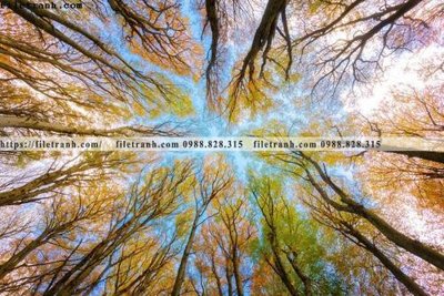 File tranh nhung buc tranh phong canh ngang 764 (ảnh gốc) in trần xuyên sáng