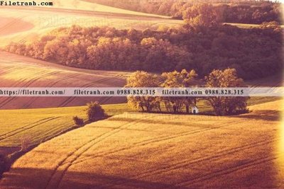 Tải file nhung buc tranh phong canh ngang 772 (gốc) in nhanh