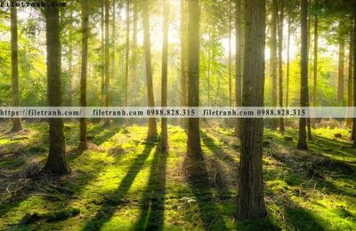 File in ấn cao cấp nhung buc tranh phong canh ngang 795 (file gốc)