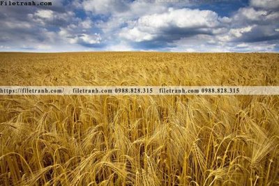 File tranh nhung buc tranh phong canh ngang 816 (ảnh gốc) in trần 3D