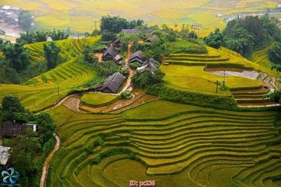 File tranh gốc File gốc phong cảnh PC236 chủ đề hiện đại