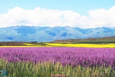 Ảnh gốc File gốc phong cảnh PC240 (siêu chi tiết) để in ấn