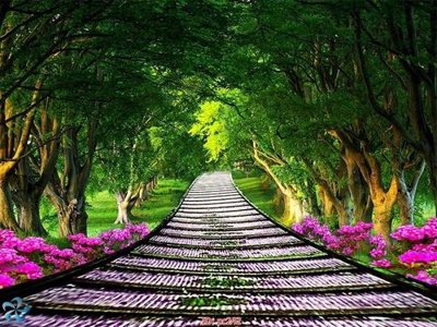 File tranh File gốc phong cảnh PC242 (bản gốc) trang trí văn phòng