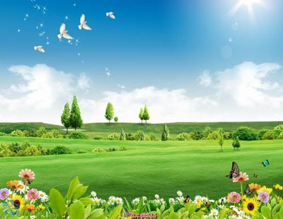 File gốc File gốc phong cảnh PC616 (chuẩn màu) cho in offset