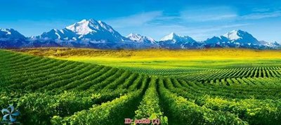 Tải file File gốc phong cảnh PC628 (PSD) cho in tranh 3D