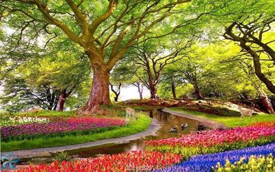 File tranh gốc File gốc phong cảnh PC629 (bản đẹp) độc quyền