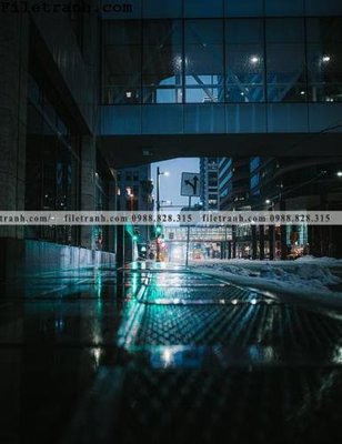 Tải file gốc in lụa phien ban doc cua duong pho 167 siêu nét