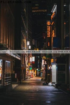 File ảnh gốc phien ban doc cua duong pho 177 (chuyên in mica)