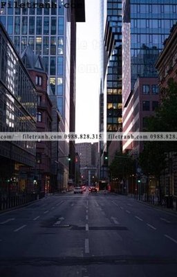 Tải file phien ban doc cua duong pho 214 (ảnh gốc) in gạch 3D