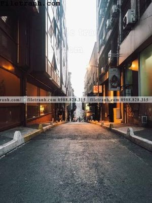 Tệp tin gốc phien ban doc cua duong pho 239 (chất lượng) phien ban doc cua duong pho 239