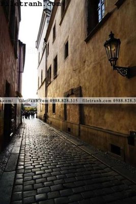 File in trần phien ban doc cua duong pho 249 (bản gốc 3D) sống động