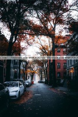 Download file phien ban doc cua duong pho 254 (chuẩn in) chất lượng cao