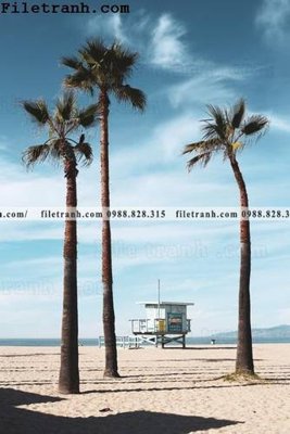 File PSD phien ban doc cua phong canh cay co dua 104 (gốc) tách lớp chi tiết