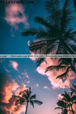 File gốc phien ban doc cua phong canh cay co dua 136 (dành cho quảng cáo)