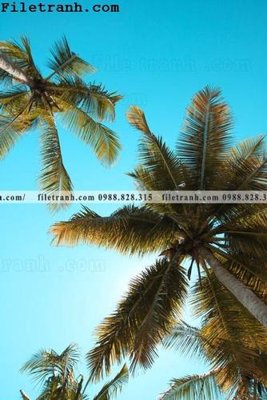 Tải file gốc phien ban doc cua phong canh cay co dua 146 (in không vỡ ảnh)