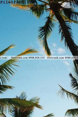 File tranh gốc phien ban doc cua phong canh cay co dua 154 chủ đề hiện đại