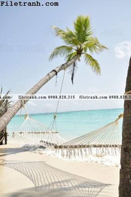 File ảnh phien ban doc cua phong canh cay co dua 158 (gốc) in decal dán tường