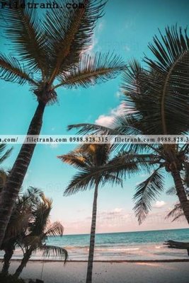 Download file gốc phien ban doc cua phong canh cay co dua 166 (in lụa) hoa lá