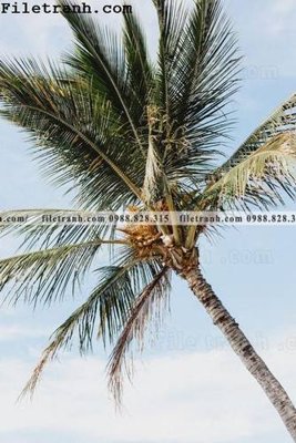 File gốc phien ban doc cua phong canh cay co dua 167 (in tráng gương) nghệ thuật