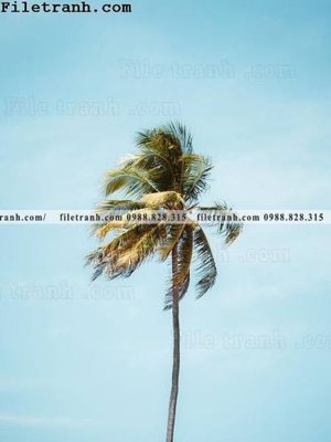 File tranh phien ban doc cua phong canh cay co dua 173 (ảnh gốc) in trần nhà