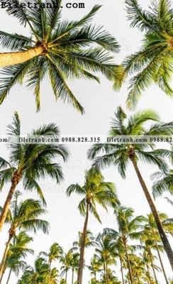 File gốc phien ban doc cua phong canh cay co dua 176 (chuẩn CMYK) cho nhà in