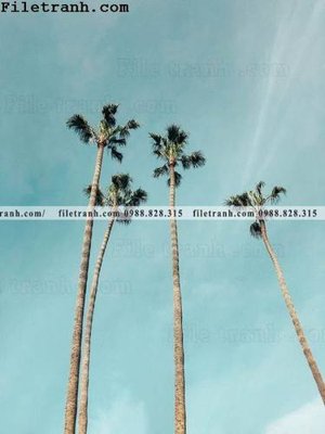 File tranh gốc in trần nhà phien ban doc cua phong canh cay co dua 178 3D