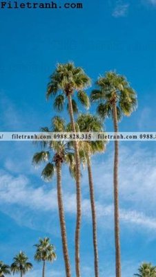 File tranh phien ban doc cua phong canh cay co dua 180 (gốc) chủ đề thiên nhiên