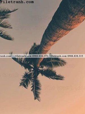 File gốc phien ban doc cua phong canh cay co dua 185 (trang trí) phòng làm việc