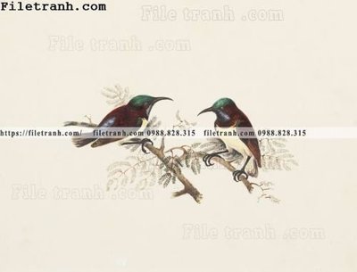 File gốc in ấn phong cach My minh hoa co dien 109 chất lượng vượt trội