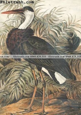 File tranh phong cach My minh hoa co dien 111 (ảnh gốc) không bị mờ