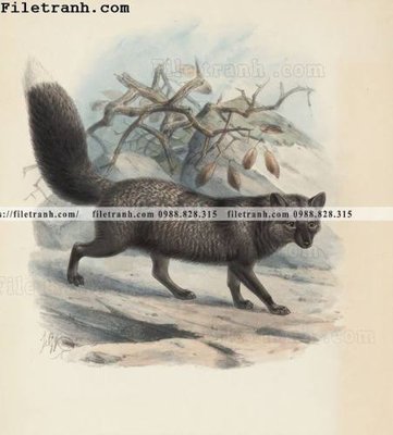 File gốc phong cach My minh hoa co dien 115 (phiên bản chuẩn) để in ấn