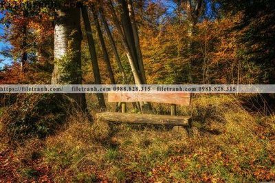 File gốc in ấn phong canh cay rung ngang 109 độ phân giải cao