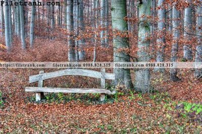 File in mica phong canh cay rung ngang 110 (bản gốc) siêu trong