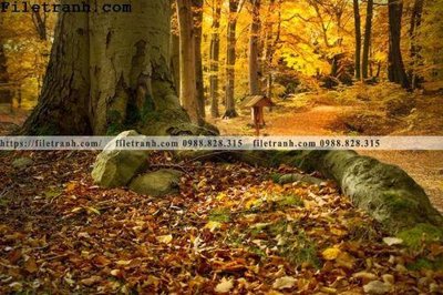 Tệp tin gốc phong canh cay rung ngang 111 (dùng cho in ấn) chuyên nghiệp