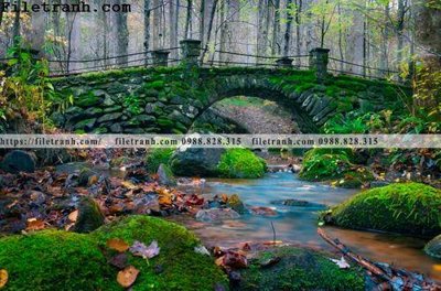 File tranh phong canh cay rung ngang 116 (ảnh gốc) độ nét vượt trội