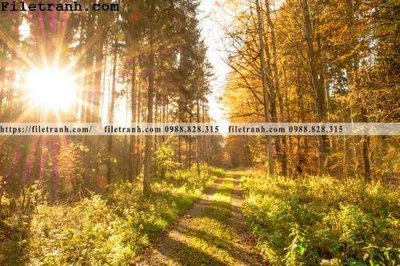 File tranh trang trí phong canh cay rung ngang 119 (file gốc)