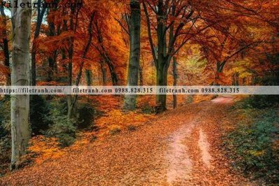 File gốc phong canh cay rung ngang 124 (Filetranh.com) phong canh cay rung ngang 124