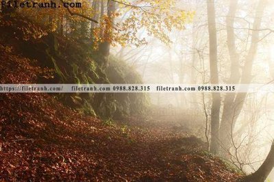 File tranh gốc phong canh cay rung ngang 125 (bản quyền) độc đáo