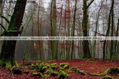 File gốc phong canh cay rung ngang 133 (in mica) trang trí