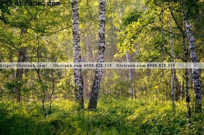 Tải file gốc in lụa phong canh cay rung ngang 138 siêu nét