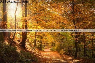 File in lụa phong canh cay rung ngang 139 (tân cổ điển) phong canh cay rung ngang 139